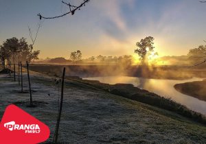 Inverno de 2025 no Paraná terá temperaturas mais baixas e geadas frequentes, prevê Simepar
