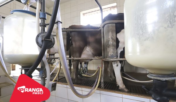 16º Simpósio de Produção de Leite em Witmarsum já tem programação definida