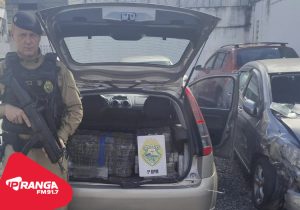 Ação conjunta entre PM e PRF apreende 346 quilos de drogas