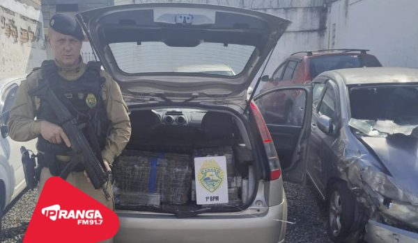 Ação conjunta entre PM e PRF apreende 346 quilos de drogas