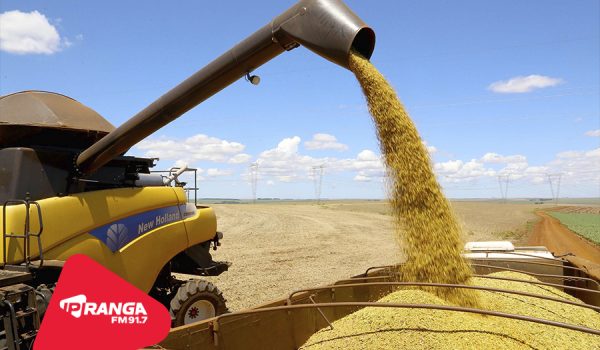 Vazio sanitário da soja passa a valer em todo o Paraná
