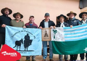 Cavaleiros de Palmeira se aproximam do Santuário de Aparecida