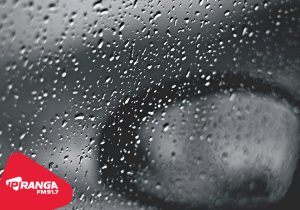 Junho registra volume de chuvas acima da média em Palmeira