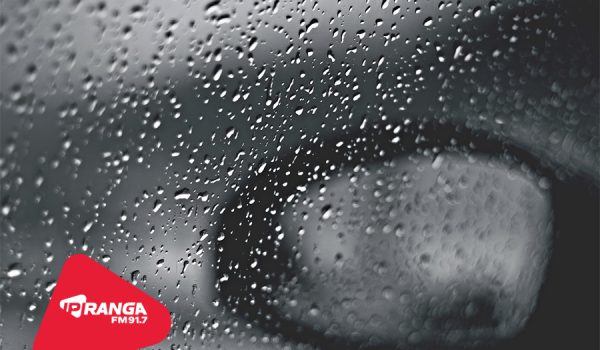 Junho registra volume de chuvas acima da média em Palmeira