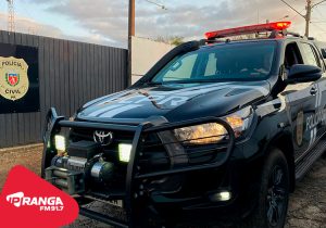 Polícia Civil de Palmeira prende autor de furtos em residências e estabelecimentos comerciais do município