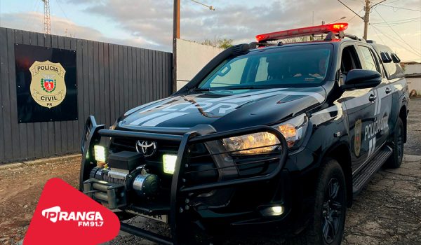 Polícia Civil de Palmeira prende autor de furtos em residências e estabelecimentos comerciais do município