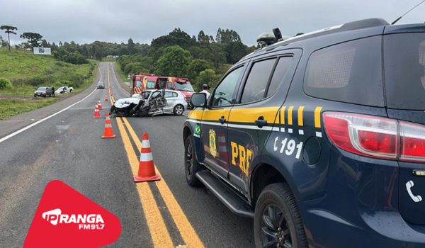 PRF aponta colisões e atropelamentos como principais causas de mortes no PR