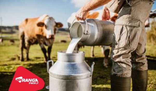 Palmeira recebe Simpósio do Leite com apoio da AMCG e promove concurso fotográfico
