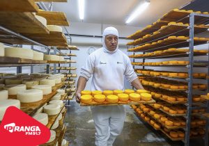 Paraná lidera o país em número de produtos com Indicação Geográfica — Queijo da Colônia Witmarsum é um dos destaques